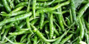 Fresh Green Chilies