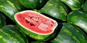 Watermelon