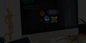 Cms Web Development Services