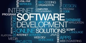 Software Development