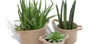 Gardening Jute Bag and Planter Bags