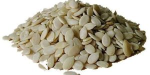 White Watermelon Seeds