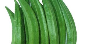 Fresh Okra
