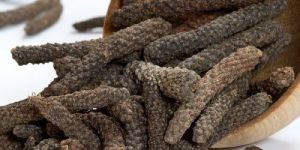 Long Pepper