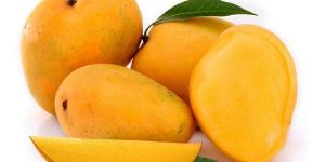 Fresh Kesar Mango