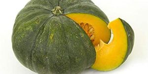 Fresh Pumpkin