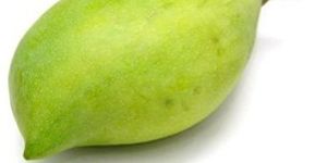 Fresh Totapuri Mango