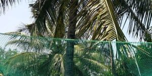 Coconut Safety Net Installation Services