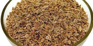 Brown Dill Seeds