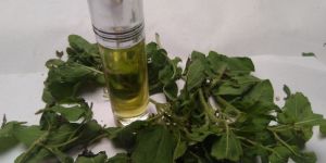 Shiv Shakthi Pain Oil