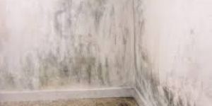 Basement Waterproofing Services