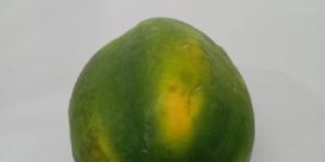 Fresh Papaya