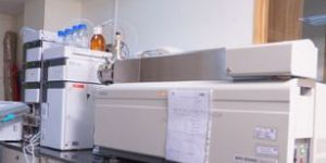 Quality Testing and Fumigation Services