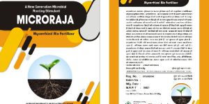 Microbial Biofertilizer