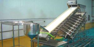 SS PUD Shrimp Washing and Grading Conveyor