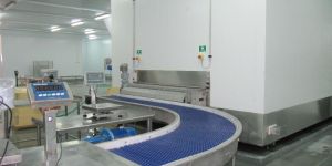 SS Radius Conveyor