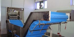 SS Transfer Conveyor