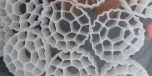 Effluent Treatment Plant