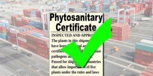 Phytosanitary Certification Service