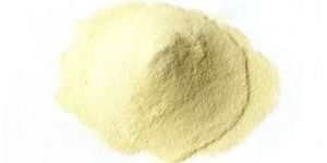 Yeast Extract Powder
