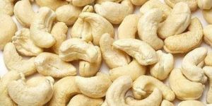 W240 Cashew Nuts