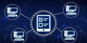 Questionnaire Data Entry Project