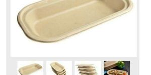 750ml Disposable Container