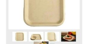 Disposable Dinner Plates