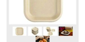 Disposable Snack Plates
