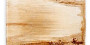 Areca Leaf Square Plates