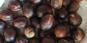 Shelled Nutmeg
