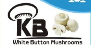 KB WHITE BUTTON MUSHROOMS ( Milky White Mushroom )