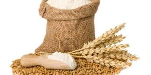 Sharbati Wheat Flour