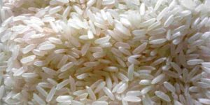 Swarna Non Basmati Rice