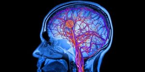 Neurodisorder Stem Cell Treatment Services