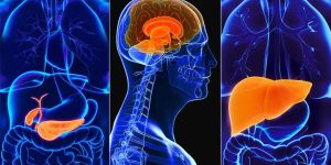 Organ Specific Stem Cell Treatment Services