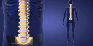 Spinal Cord Stem Cell Treatment Services