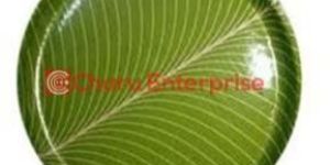 Kela Pata Type Paper Plate