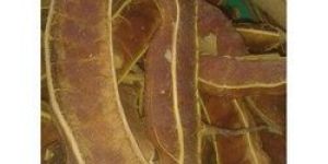 Natural Tamarind