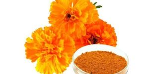 Marigold Extract Powder