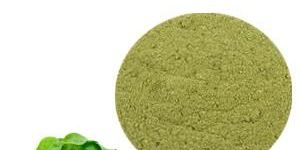 SPINACH EXTRACT