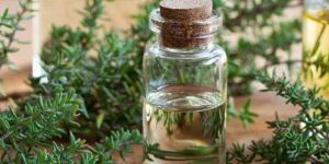 Thyme Oil