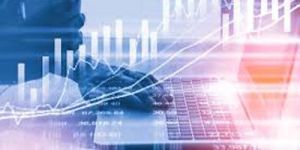 Due Diligence Investigation Service