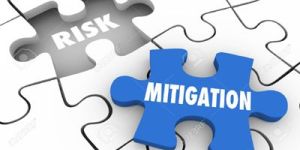 Risk Mitigation Services