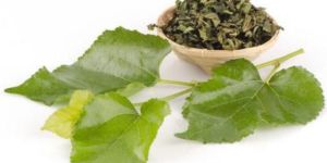 Mulberry Tea