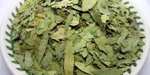 Senna Leaves