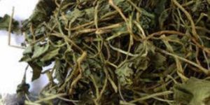 Vallarai Leaf Tea