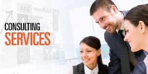 Consulting Service