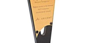 Enterprise Wooden Stylish Trophy