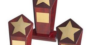 Gold Plated Star Wood Trophy
